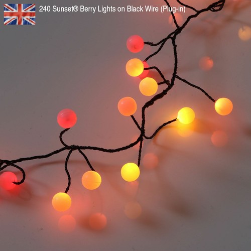 Premium LED Cluster Lights, Sunset & Warm White Fairy Lights for Christmas - Picture 47 of 95