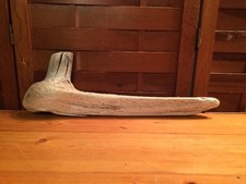 Beautiful 18" DRIFTWOOD Art Piece Terrarium Taxidermy Aquarium Beach DECOR