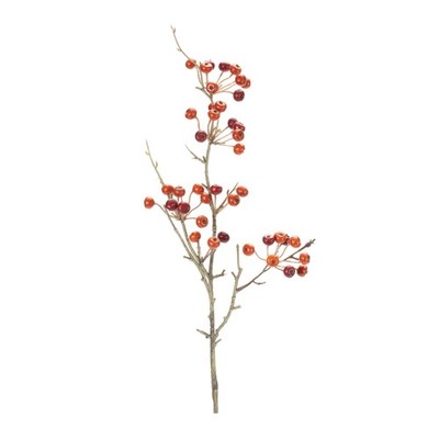 Berry Pod Spray (Set of 6)