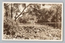 Silver Springs Florida FL Tour Boat Real Photo Postcard RPPC 1950-
