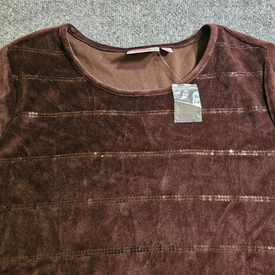 Quacker Factory Sweater Womens Size 2X Brown Sequin Stripe Velour Casual Basic - Image 2 of 4