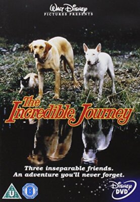 Die unglaubliche Reise [DVD], gebraucht; sehr gutes Buch