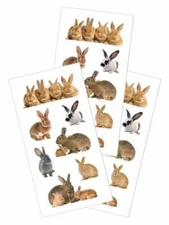 Bunny Rabbits Stickers Planner Supply  DIY Crafts Scrapbook Teacher Easter 