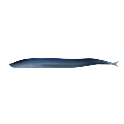 Berkley Gulp! Saltwater Sand Eel ~ 5'' ~ 6 pk ~ FREE Shipping