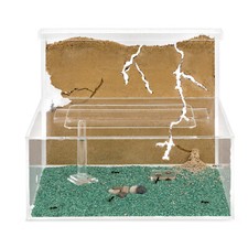 Hormiguero Natural Arena - Kit L (Sándwich +...