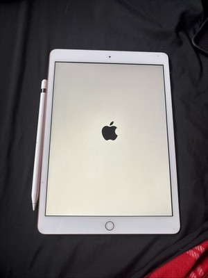 Apple iPad 第5世代 本体 & Apple Pencil iPad 5th Generation 9.7” (2017) + Apple Pencil | eBay