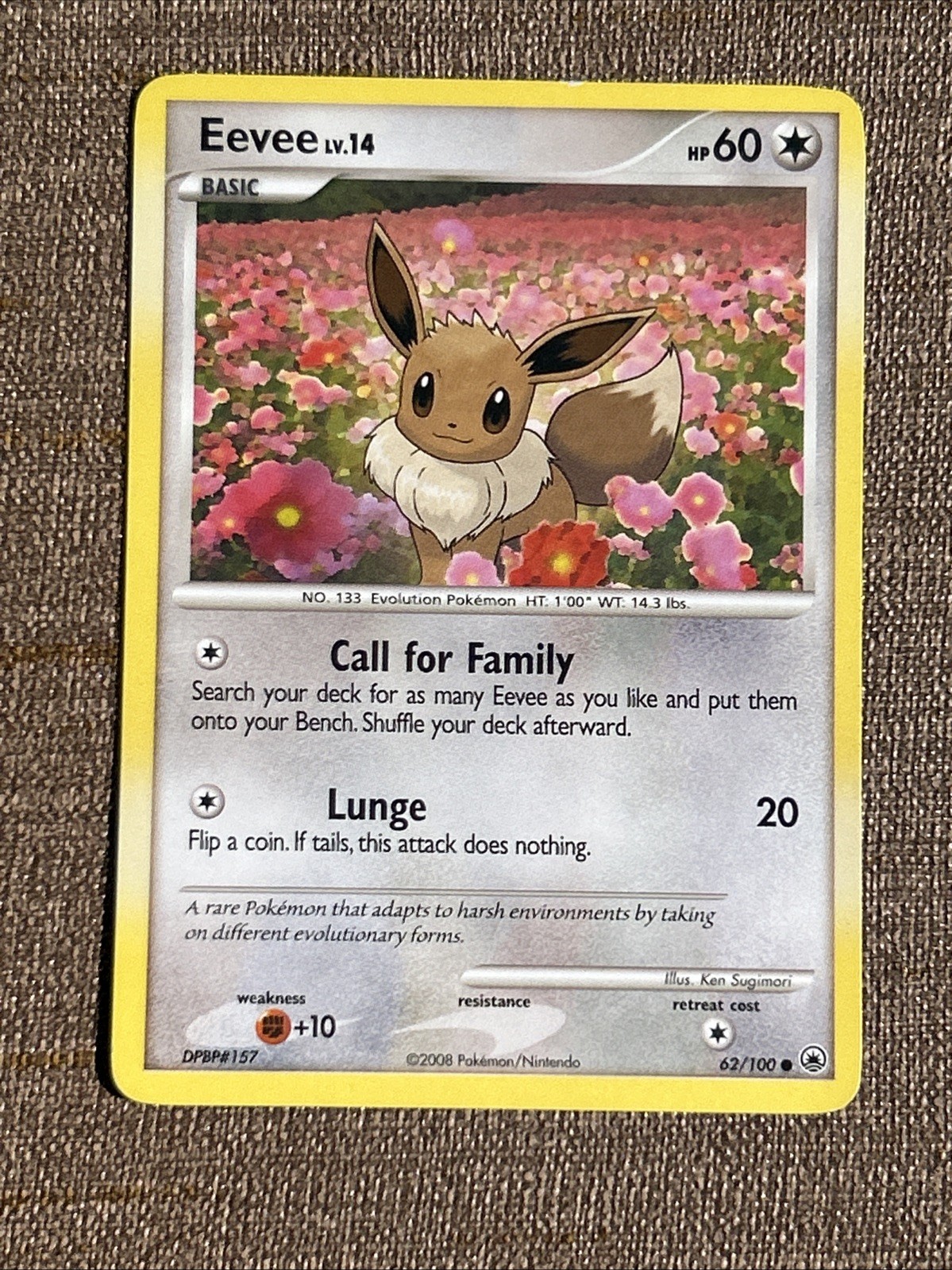 Eevee 62/100 Pokemon Card Majestic Dawn Common TCG Lightly Played LP