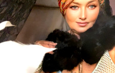 Vintage Black Mink Fur Stole Neck Collar Wrap Beautiful Pom Poms 40s Fluffy