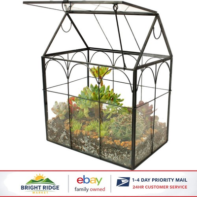 #ad #ad Geometric Glass Terrarium for Indoor Gardening Succulent amp; Air Plant Display $65.91