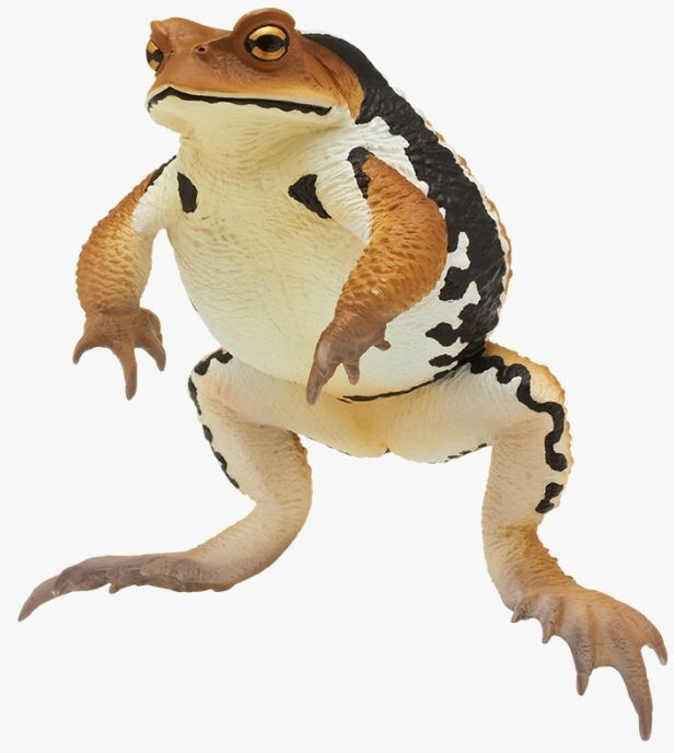 Nature Techni Colour Japanese Common Toad Figure Brown 11.3 cm