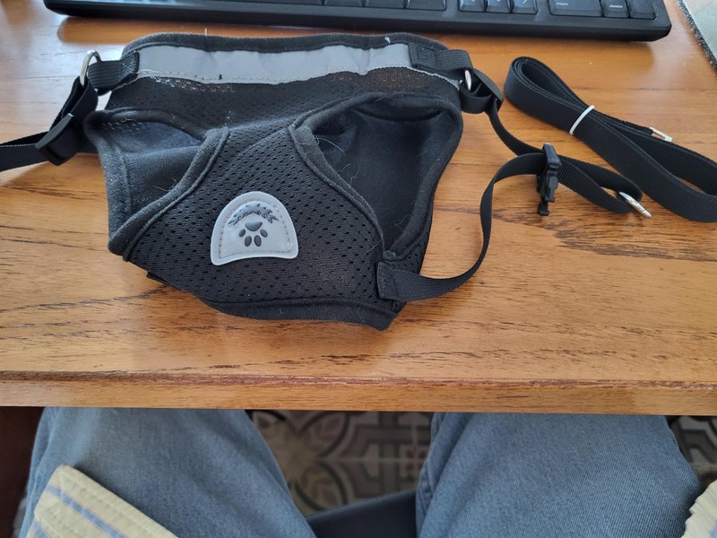 Cat Harness Large