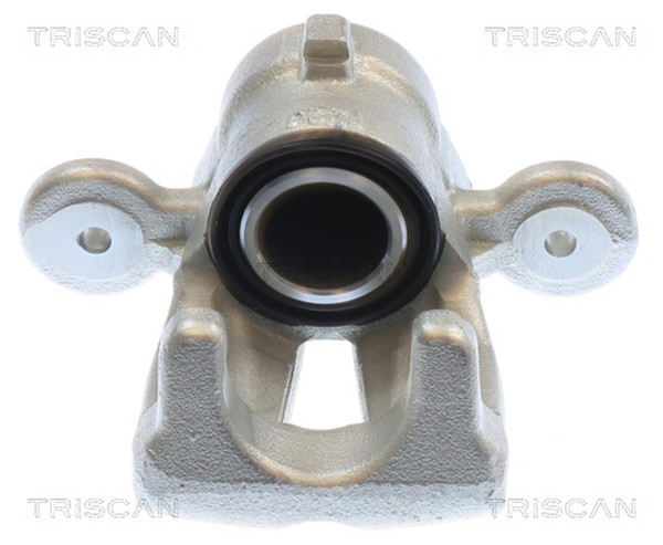 Bremssattel Triscan 8175 11231 FüR Bmw 1Er E87 E81 3Er E90 E92 116 118 120 316-image
