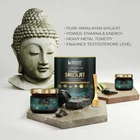 NEW ORGANIC HIMALAYAN Shilajit ,Organic Extremely POTENT 66 SERVINGS- 20 GM