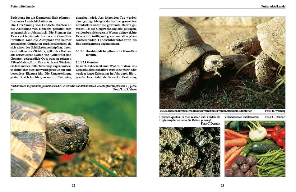 Thumbnail - Ernährung Von Landschildkröten Carolin Dennert 9783866594838