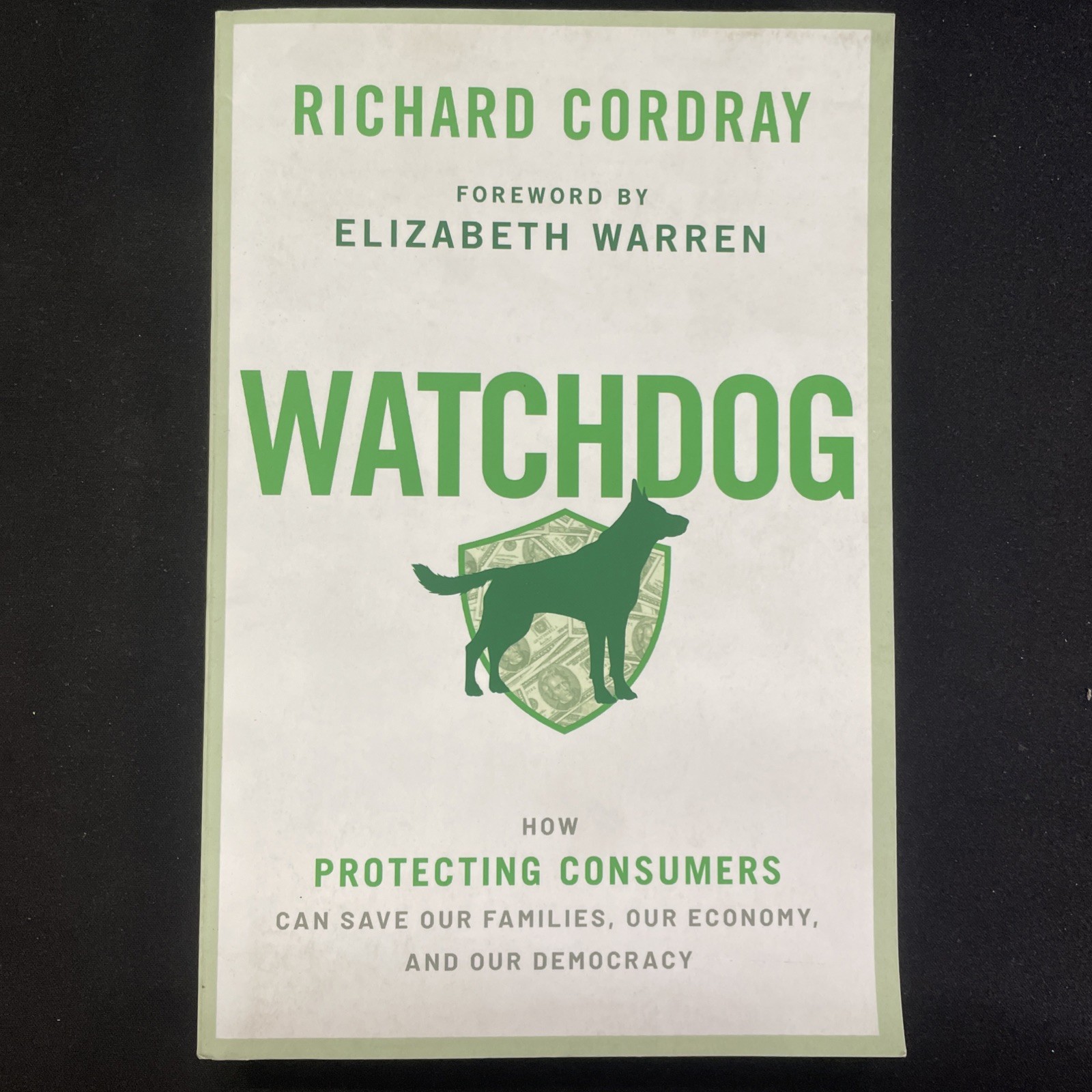 Watchdog : How Protecting Consumers Can Save Our Families, Our Economy, and Our