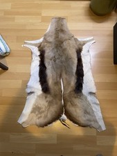 Antilope | Springbok | Weichgegerbtes Fell (Keine Jagdtrophäe) ca. 50x70 CM