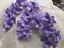 thumbnail 7  - Vintage Mini Lilacs Cotton flowers 1pc Made in Japan