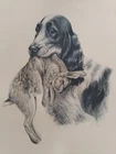 LEON DANCHIN COCKER ENGLISH RABBIT LITHOGRAPH COLORS 1920 HUNTING SIGNATURE