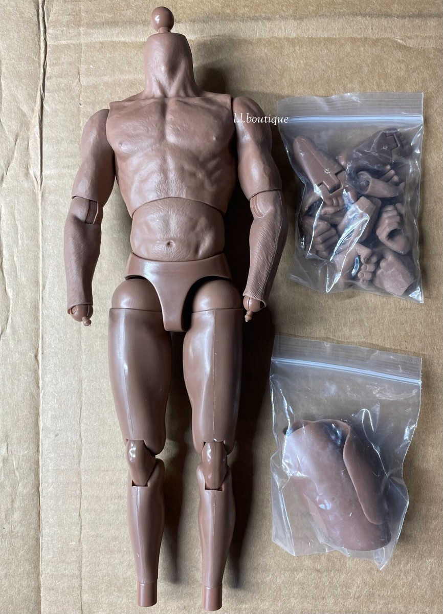 ZC TOYS 1/6 SCALE MUSCLE African Male Action Figure Body | eBay