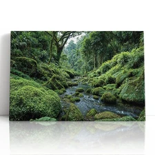 Lush Jungle Stream Canvas Print Wall Art – Mossy Rocks & Rainforest River Print