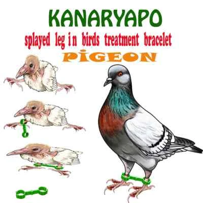 KANARYAPO Pigeon Dove Cockatoo Splayed Leg Treatment Bracelet Bands Ring 6 7 8 9 10 mm