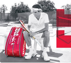 wilson federer ltd