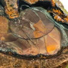 Blue Mountain Jasper Slab &ndash; Multiple Orbs Color Array &ndash; Oregon Orbicular