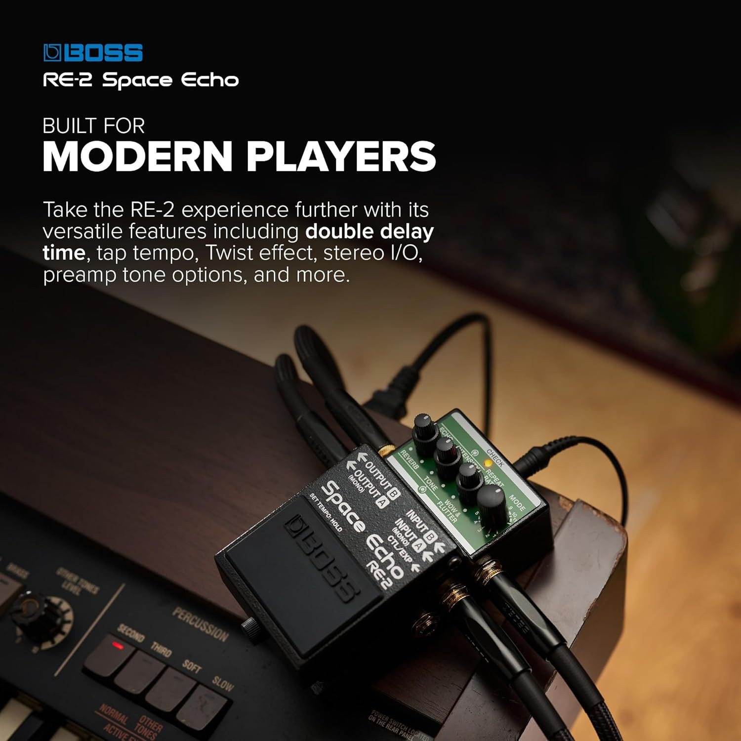 Boss RE-2 Space Echo Delay and Reverb Effects Pedal