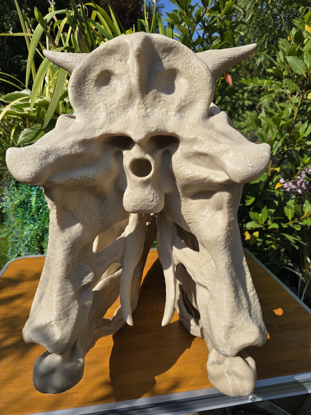 Life-size CARNOTAURUS skull Replica, Fossil