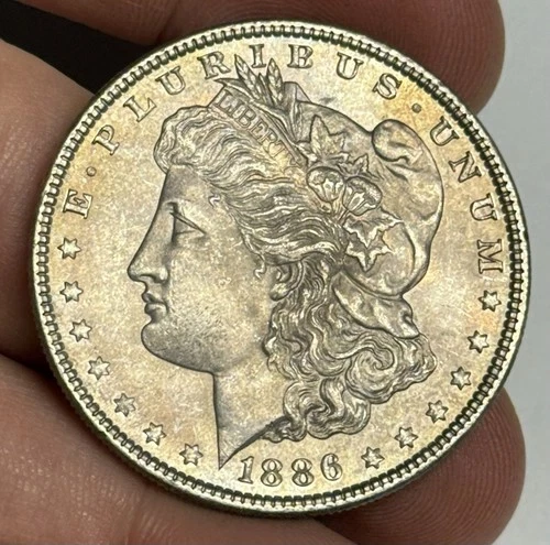 Toned AU 1886-P Morgan Silver Dollar (original surfaces) U.S. $1 Coin Almost UNC