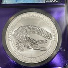 Picture 2 of 3