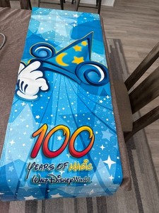 Walt Disney World 100 Years of Magic Vinyl Park-Used Sign