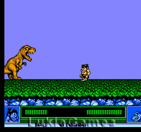 Joe & Mac - Fun NES Nintendo Game