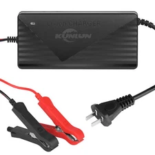 12V 20A/10A/5A Smart Fast Charger for Lithium Iron Phosphate (LiFePO4) Battery