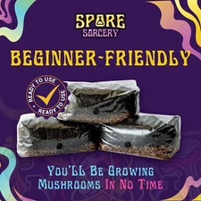 3 Pack | 4LB All-In-One Mushroom Grow Kit with Milo Sorghum Grain