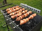 Automatic Rotating BBQ Grill Rack with Spits and Self-powered