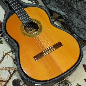 Tamura Guitar | eBay