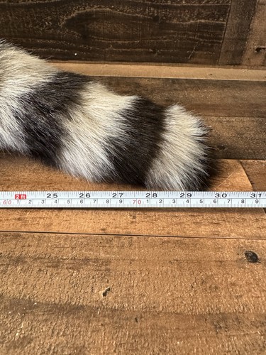 HANSA Realistic Plush Raccoon Plush New LARGE - Picture 11 of 12