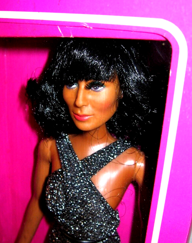 GROWING HAIR CHER - 1976 - MIB, NRFB - Mego - Gorgeous