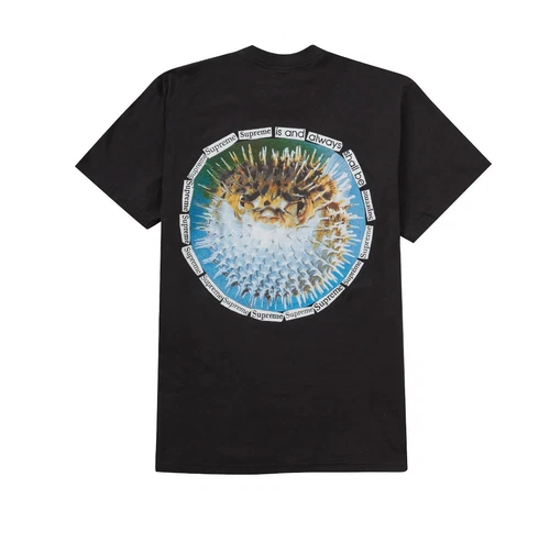? Taille XXL T shirt Supreme Blowfish Noir NEUF LIVRAISON GRATUITE ?