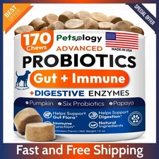 170 Dog Probiotic Chews – Supports Digestion, Gut Health, Itchy Skin & Allergies