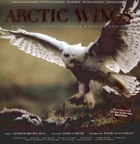 Arctic Wings Wildlife Birds of Arctic National Refuge by Brown Brand New