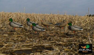 Avery Greenhead Gear GHG Dog Training ATB EZ Bird Wood Duck Dummy Bumper | Acquisti Online Su - Foto 5