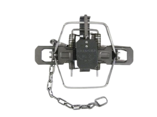 2  Bridger # 2 Offset Coil Spring 4 Coil Traps Raccoon Coyote Bobcat Trapping 
