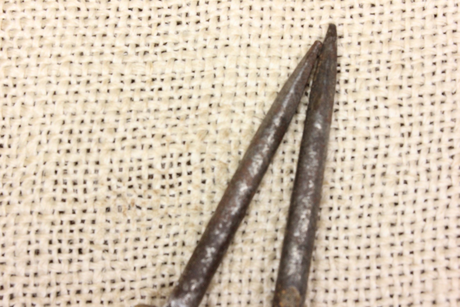 2 Old Picture Nails Victorian Artwork Hanger Antique Brass Head Vintage 1800’s