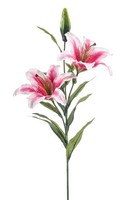 artplants Deko Zweig Tigerlilie Raisa, Pink-Weiß, 85Cm, Ø17-18Cm
