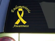 Endometriosis Awareness *J099* 6 x 8 inch Sticker Endometriosis Decal