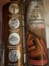 2 Packs Scentsicles Scented Ornaments Two Dashes Of Cinnamon 6 Ornaments & Hooks