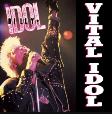 Vital Idol, Billy Idol (CD) GUARANTEED - Rare Without Cover CD ARTWORK OR JACKET