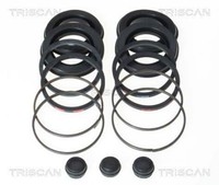 Triscan Reparatursatz, Bremssattel 8170 204003 FüR Alfa Romeo Bmw Ford